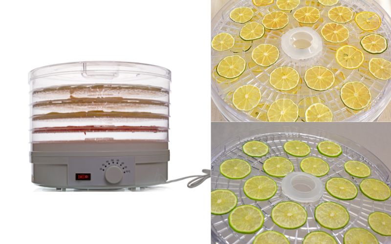 Máy sấy trái cây là gì